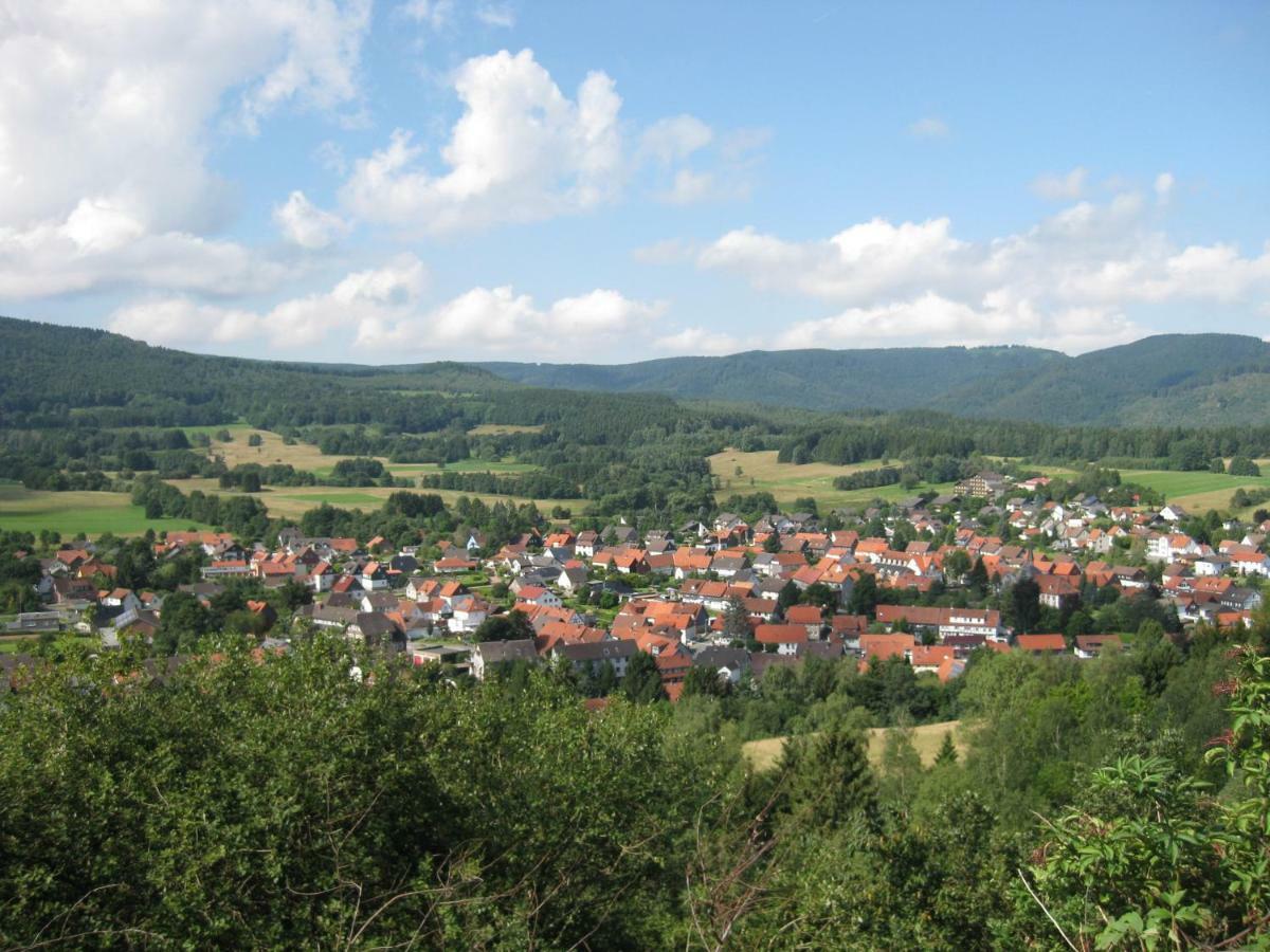 Fewo Hage Langelsheim Buitenkant foto