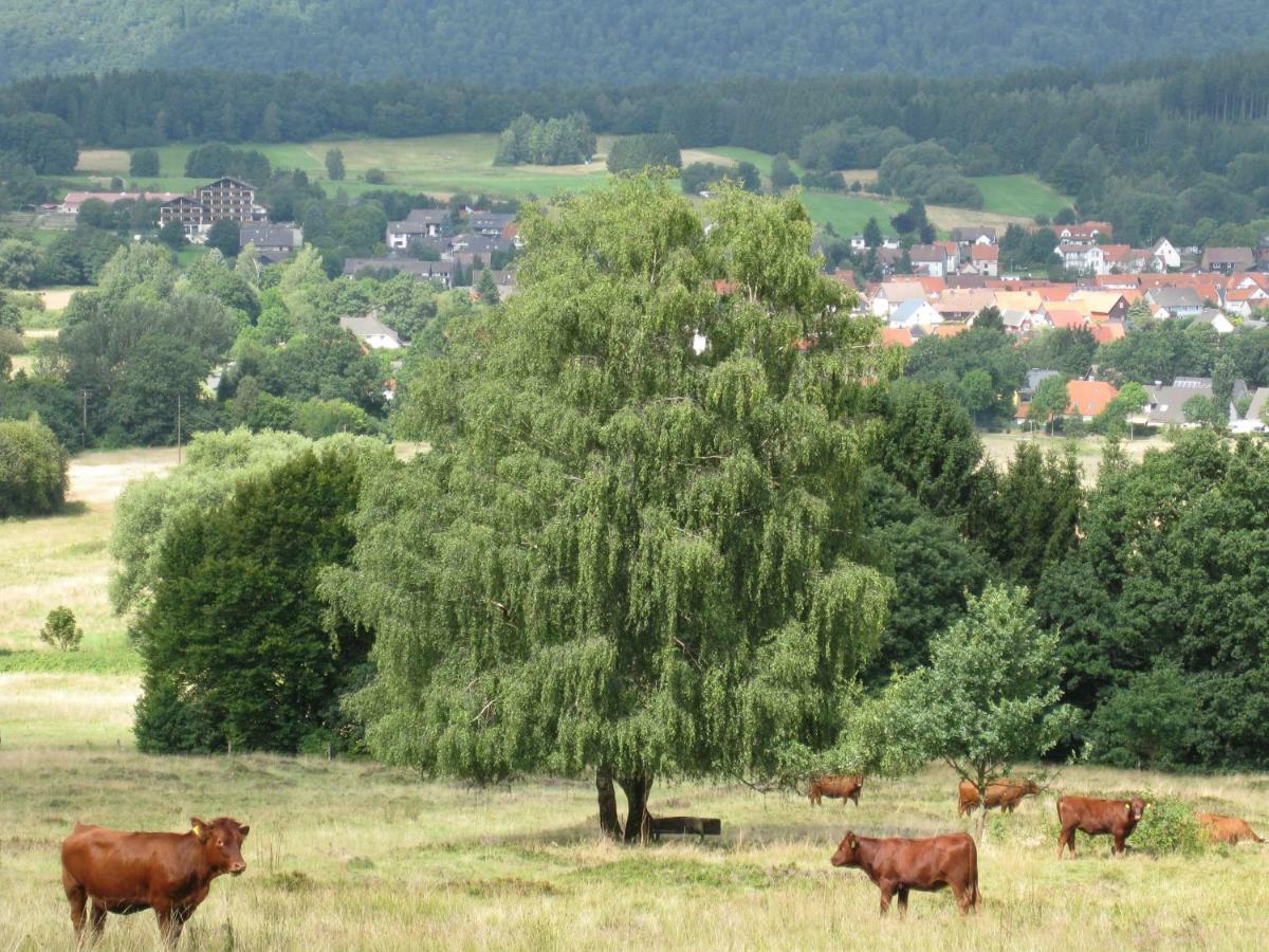 Fewo Hage Langelsheim Buitenkant foto