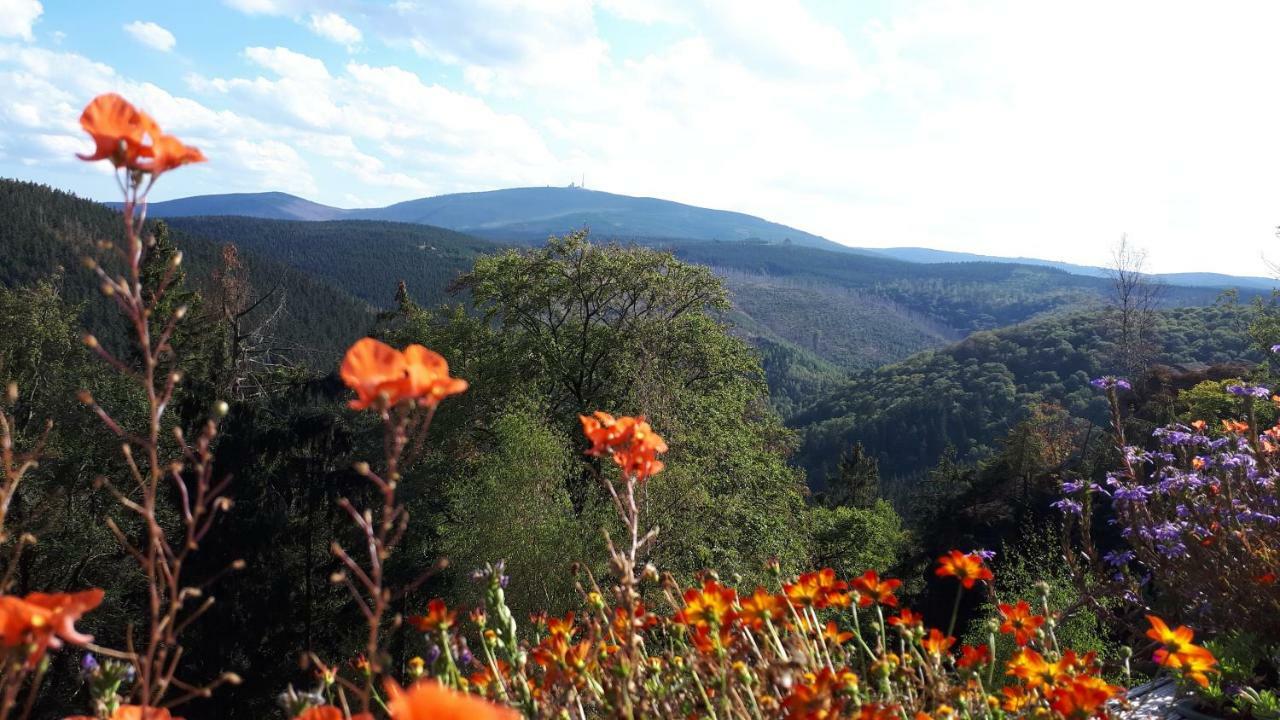 Fewo Hage Langelsheim Buitenkant foto